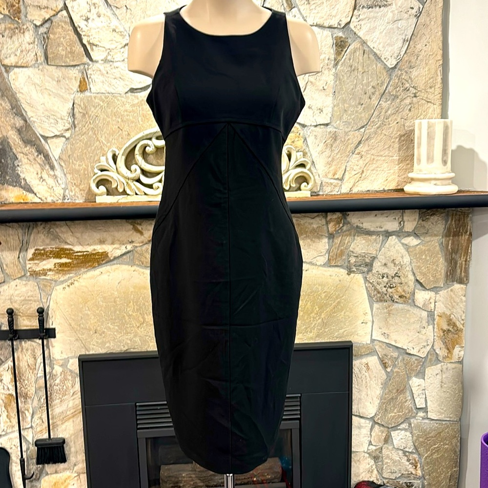 Franco Mirabelli dress